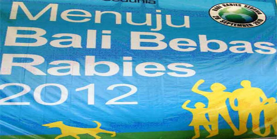 Beritabali.com
